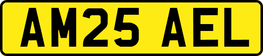 AM25AEL