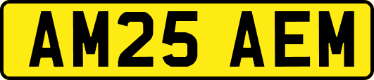 AM25AEM