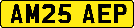 AM25AEP