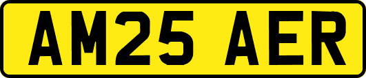 AM25AER