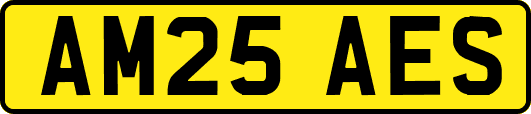 AM25AES