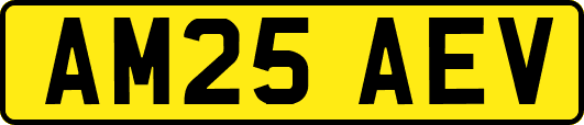 AM25AEV