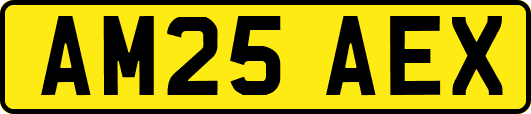 AM25AEX