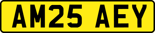 AM25AEY