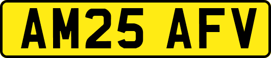 AM25AFV