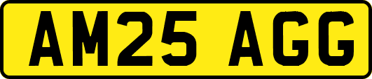 AM25AGG