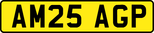 AM25AGP
