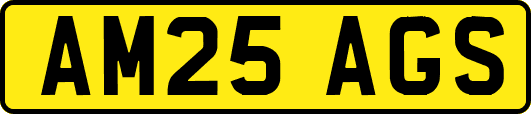 AM25AGS