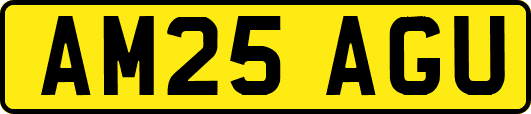 AM25AGU