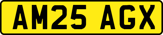 AM25AGX