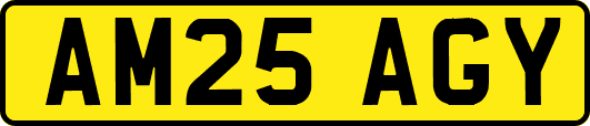 AM25AGY