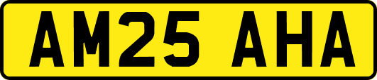 AM25AHA