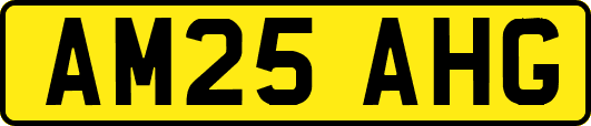 AM25AHG