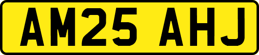 AM25AHJ