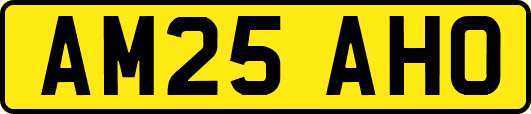 AM25AHO