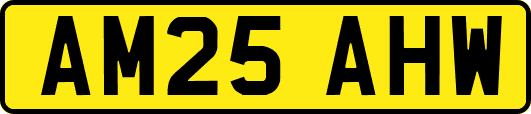 AM25AHW