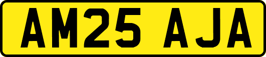 AM25AJA