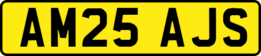 AM25AJS