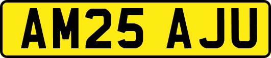 AM25AJU