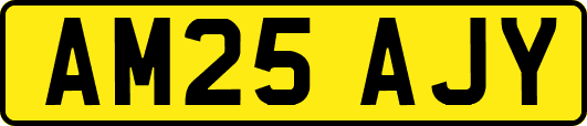 AM25AJY