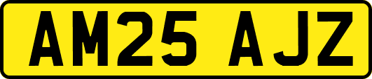 AM25AJZ