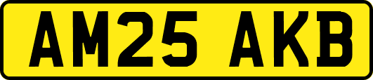 AM25AKB