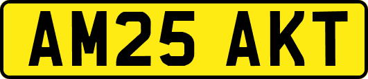 AM25AKT