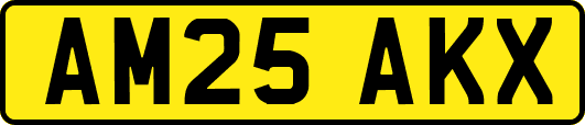 AM25AKX