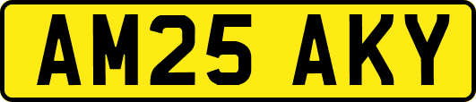 AM25AKY