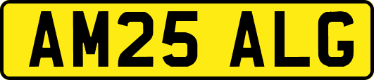 AM25ALG