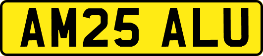 AM25ALU