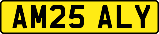 AM25ALY