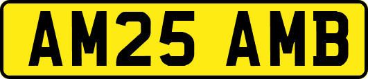 AM25AMB