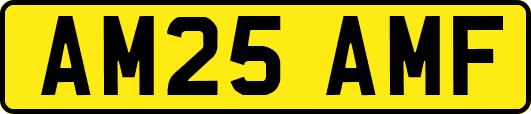 AM25AMF