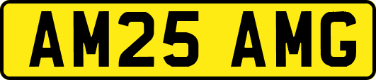 AM25AMG