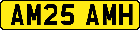 AM25AMH