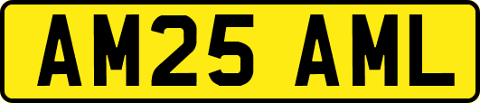 AM25AML