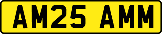 AM25AMM