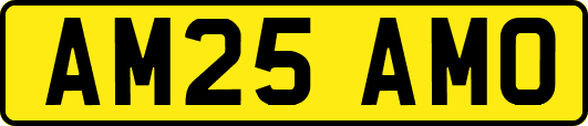 AM25AMO