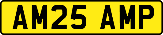 AM25AMP