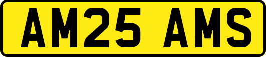 AM25AMS
