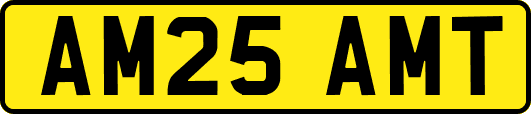 AM25AMT