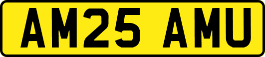 AM25AMU