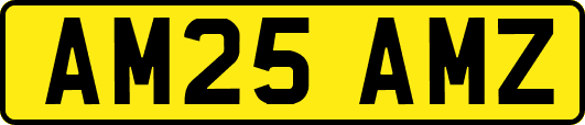 AM25AMZ