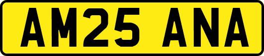 AM25ANA