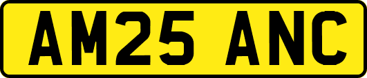 AM25ANC