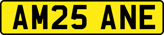 AM25ANE