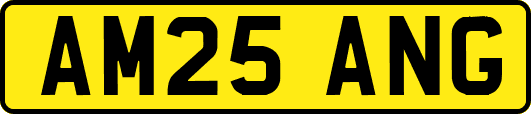 AM25ANG
