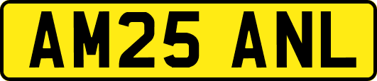 AM25ANL