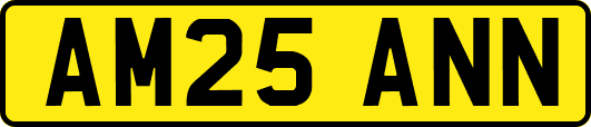 AM25ANN